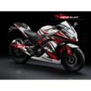 Decal Stiker Kawasaki Ninja 250R FI Thunder