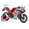 Decal Stiker Kawasaki Ninja 250R FI Lucky Strike
