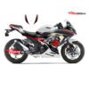 Decal Stiker Kawasaki Ninja 250 Fi White Kanji Dragon