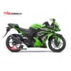 Decal Stiker Kawasaki Ninja 250R Karbu Green Kanji Dragon