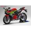 Decal Stiker Yamaha R15 V3 Red Green Monster