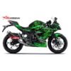Decal Stiker Kawasaki Ninja 250 RR Mono Black Green Razer