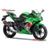 Decal Stiker Kawasaki Ninja 250 RR Mono Green Kanji Dragon