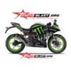 Decal Stiker Kawasaki Ninja 250RR Mono Livery Monster