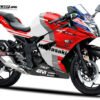 Decal stiker Ninja RR Mono Desmo GP18