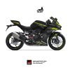 Decal stiker zx25r Wintertest 2024 motoblast